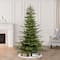 7.5ft. Pre-Lit Aspen Fir Artificial Christmas Tree, Warm White Lights